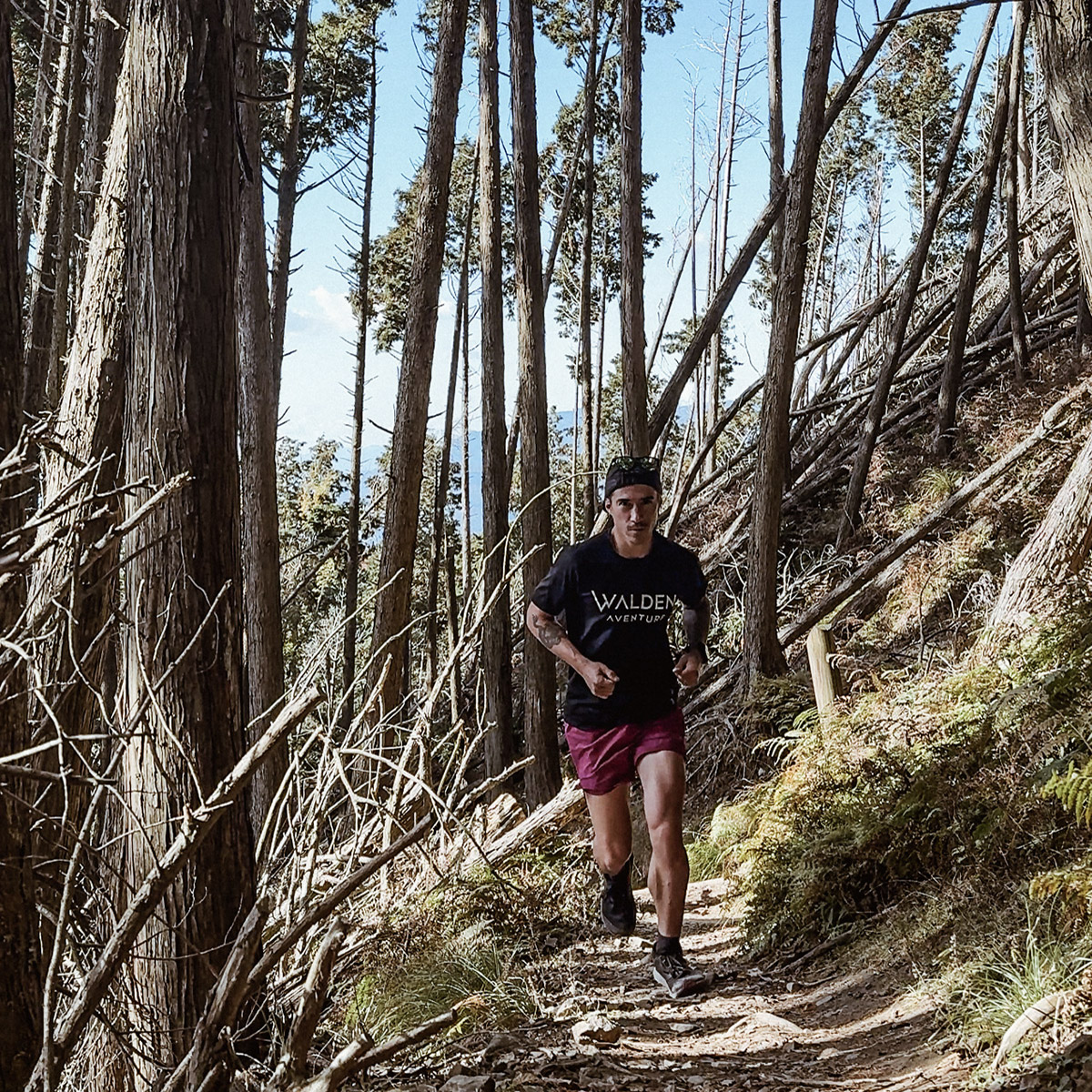 Coureur sur le Mont Hiei