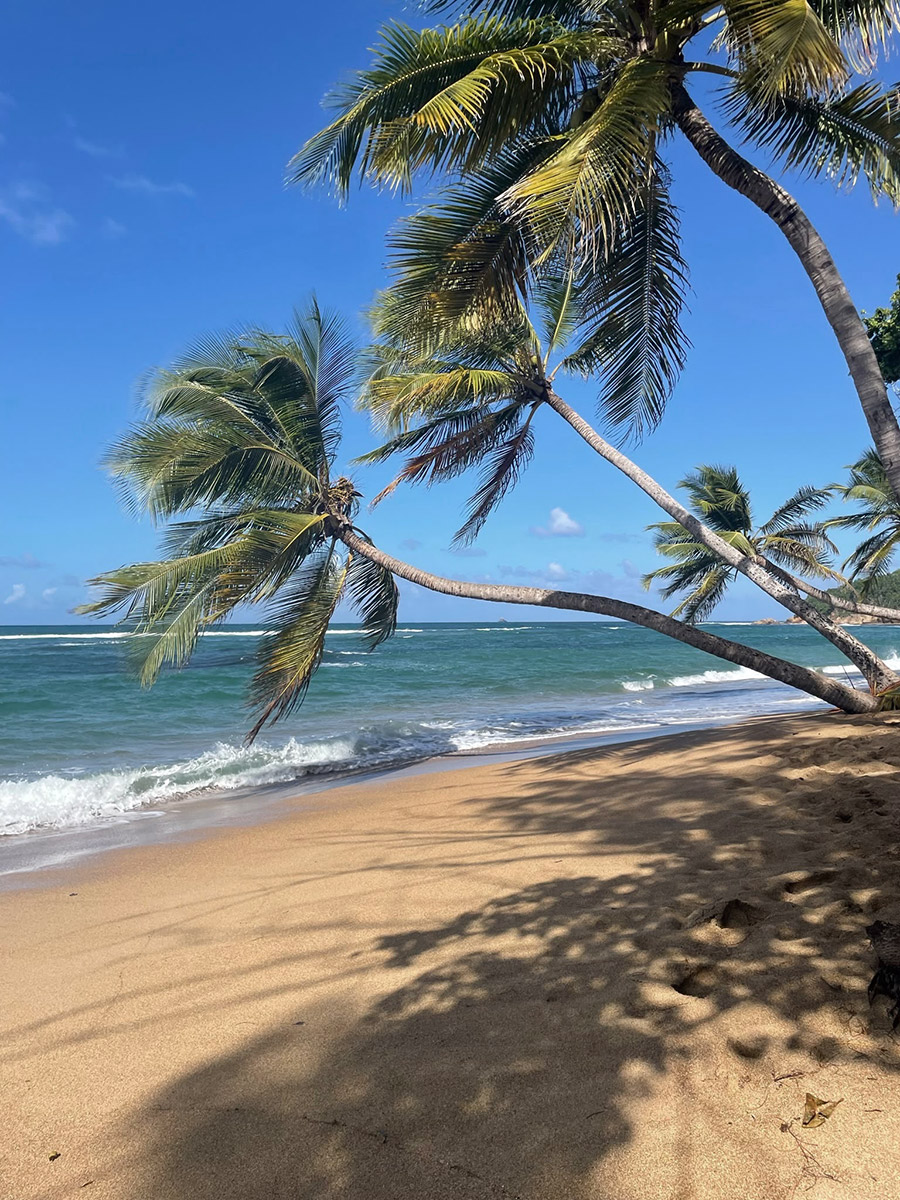 Plage de Martinique